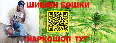 мдпв Тула