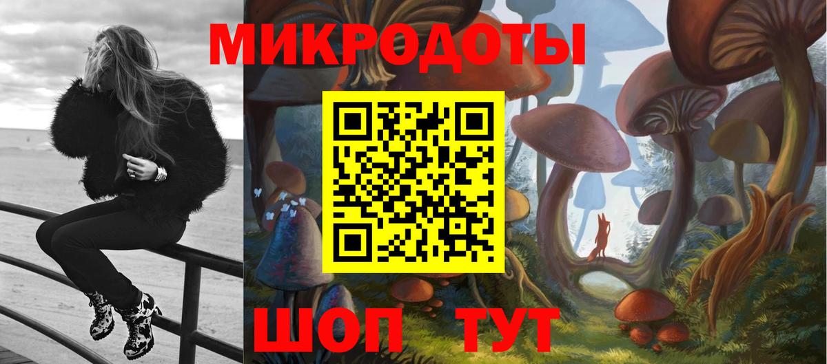 Галлюциногенные грибы Psilocybine cubensis Волжск